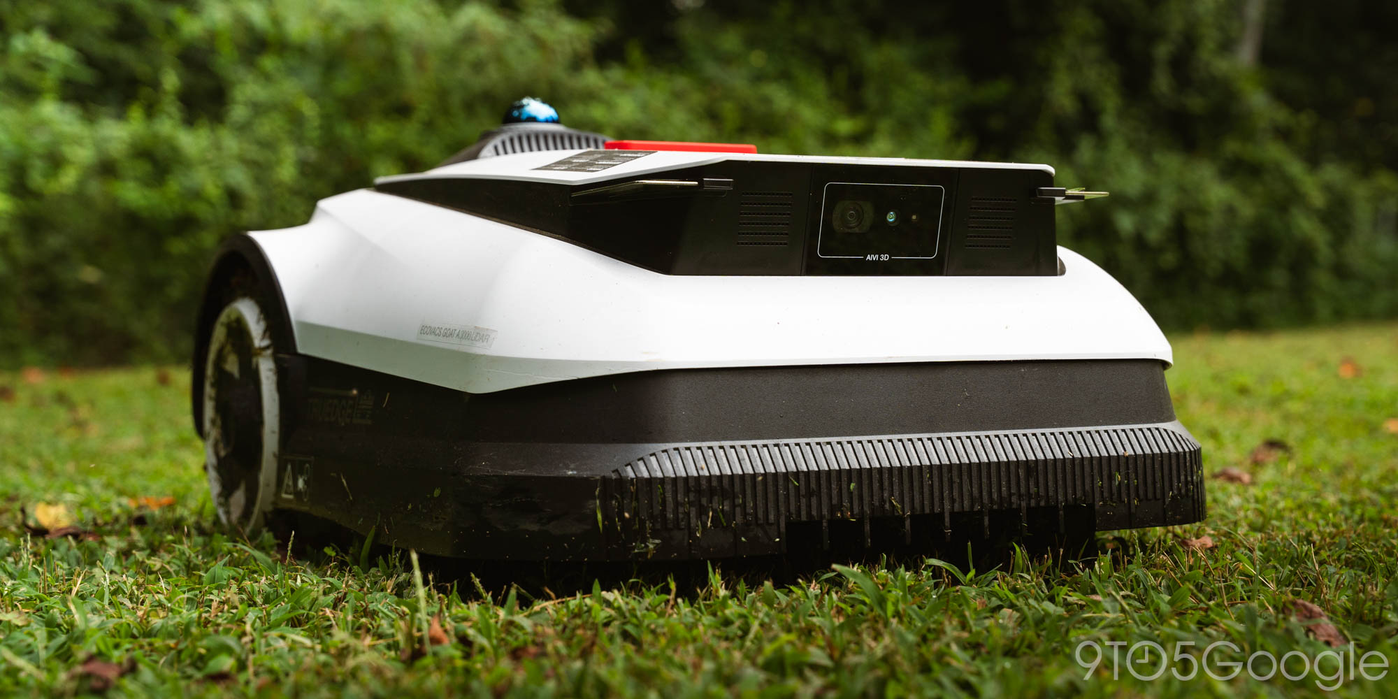 Ecovacs-A3000-Goat-1.jpg?