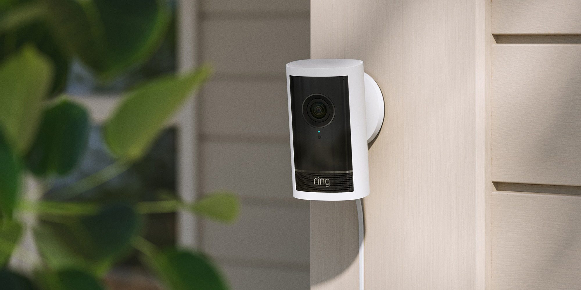 Amazon представляет 4K-камеры Ring, ИИ для поиска пропавших собак и новые колонки накануне обновления Google Home