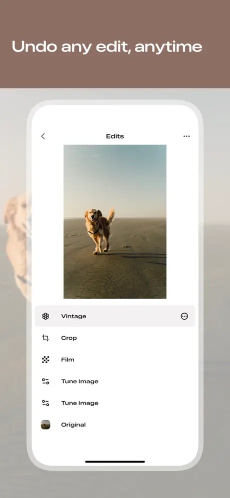 لقطة شاشة لواجهة Snapseed الجديدة تعرض خيارات إضافية