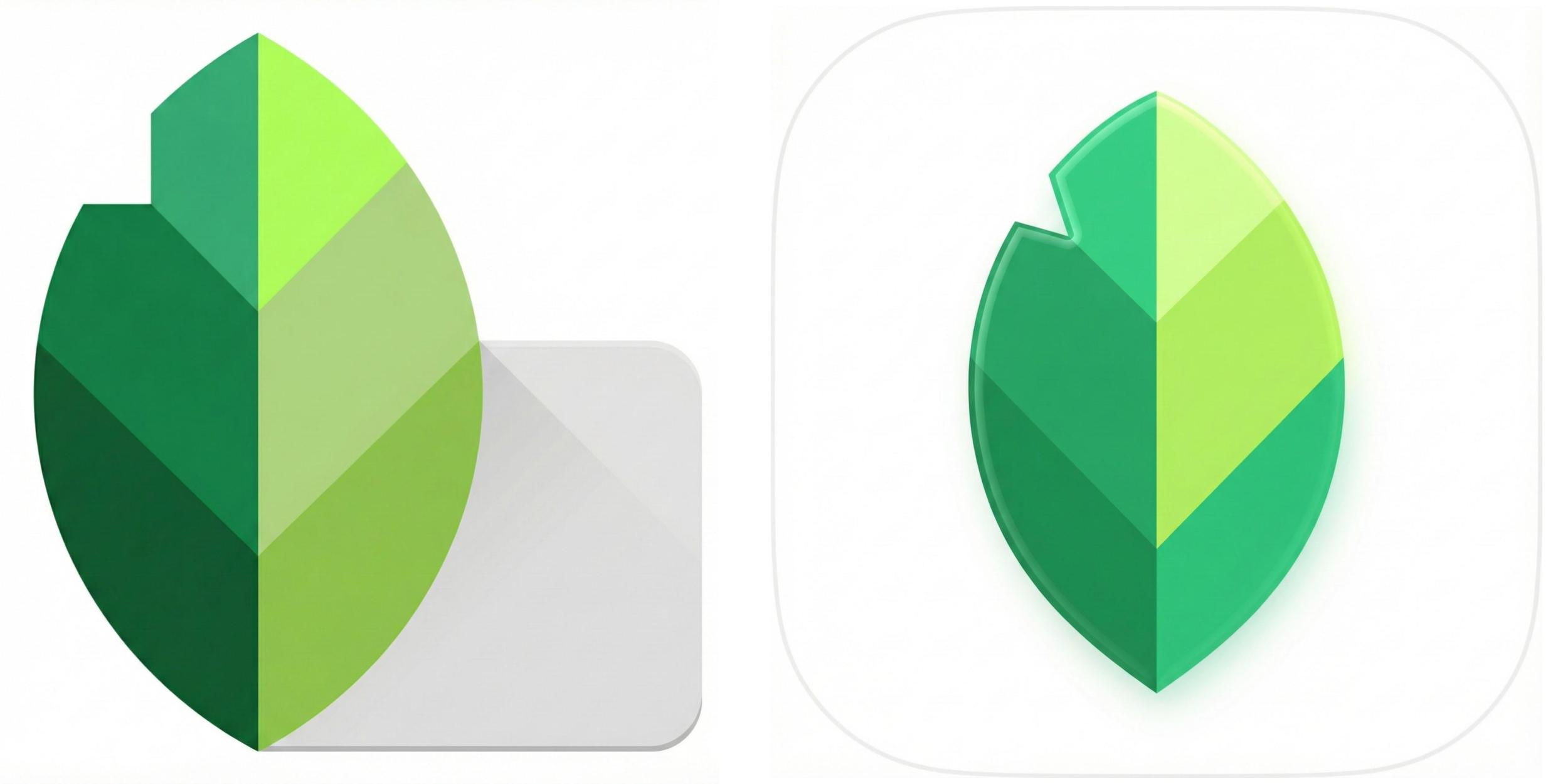 Snapseed 4.0 Arrives on Android with New Camera, Editing Tools